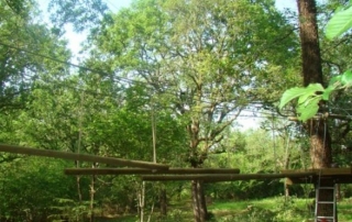  El recorrido del árbol 